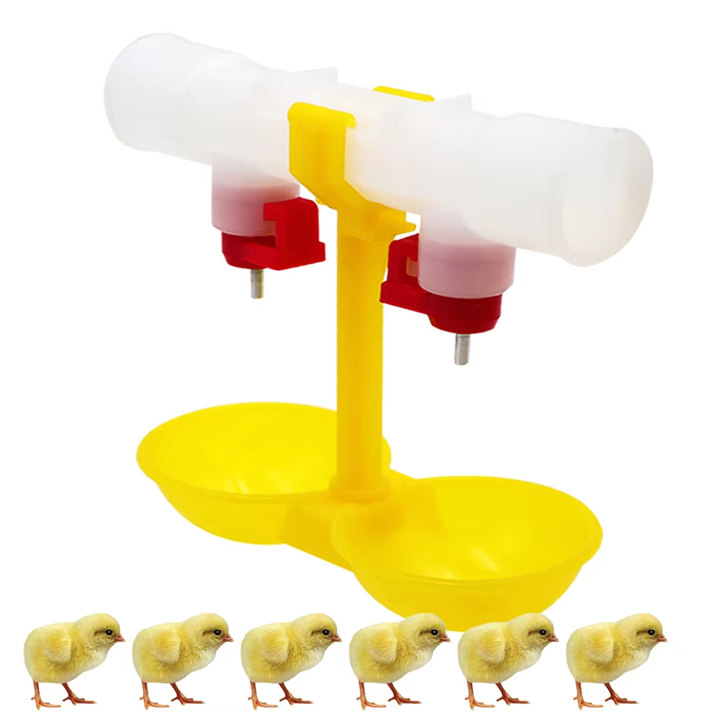 5/10/20 adet tavuk çift başlı  - Zwitsal Baby Products incelemesi ve fiyatı
